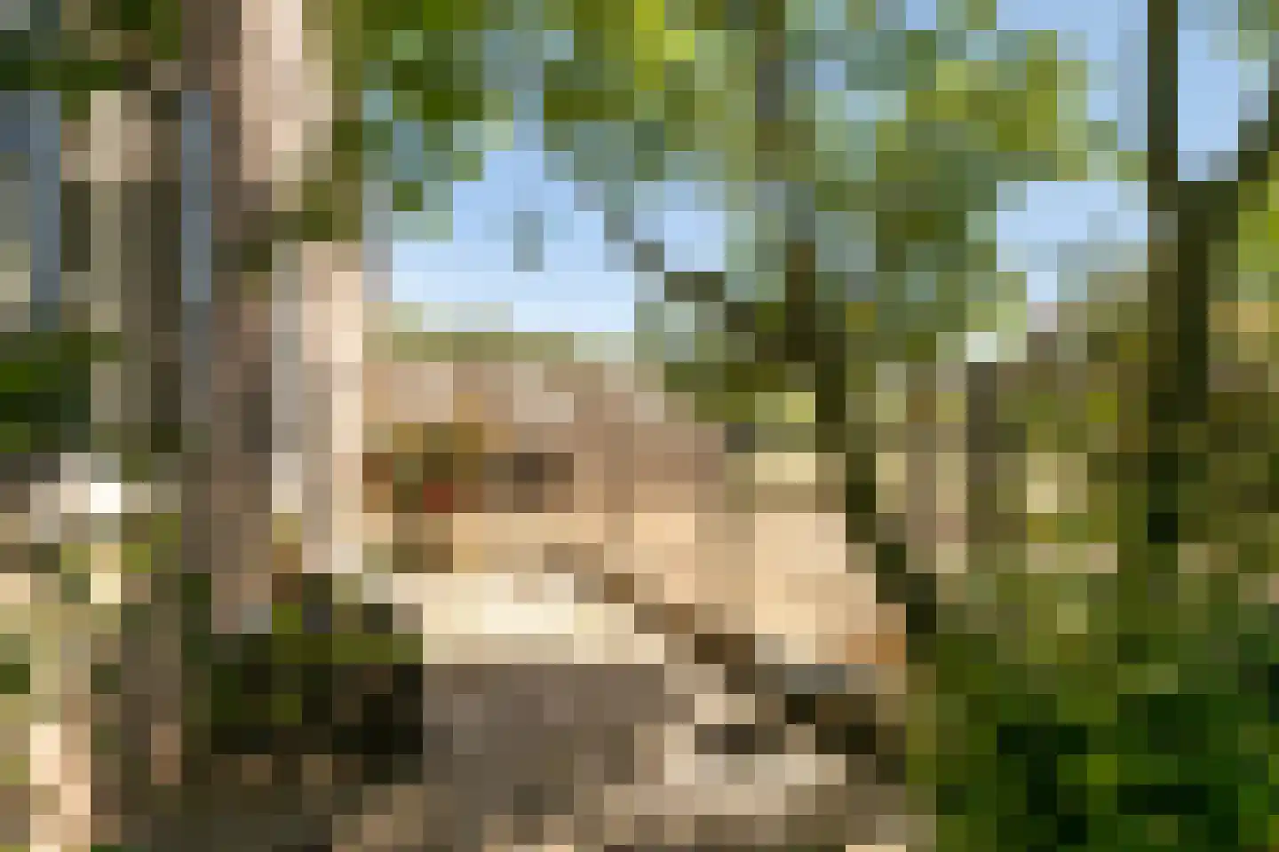 Laar 15 Wijnandsrade thumbnail 45