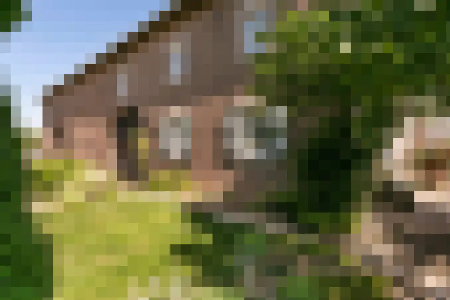Laar 15 Wijnandsrade thumbnail 46