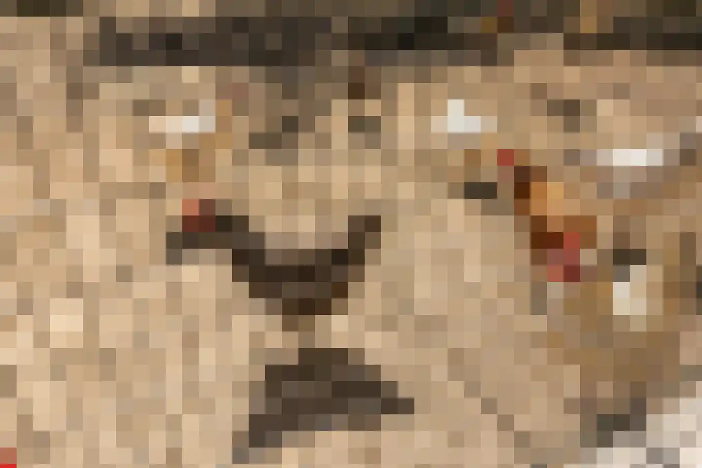 Laar 15 Wijnandsrade thumbnail 47