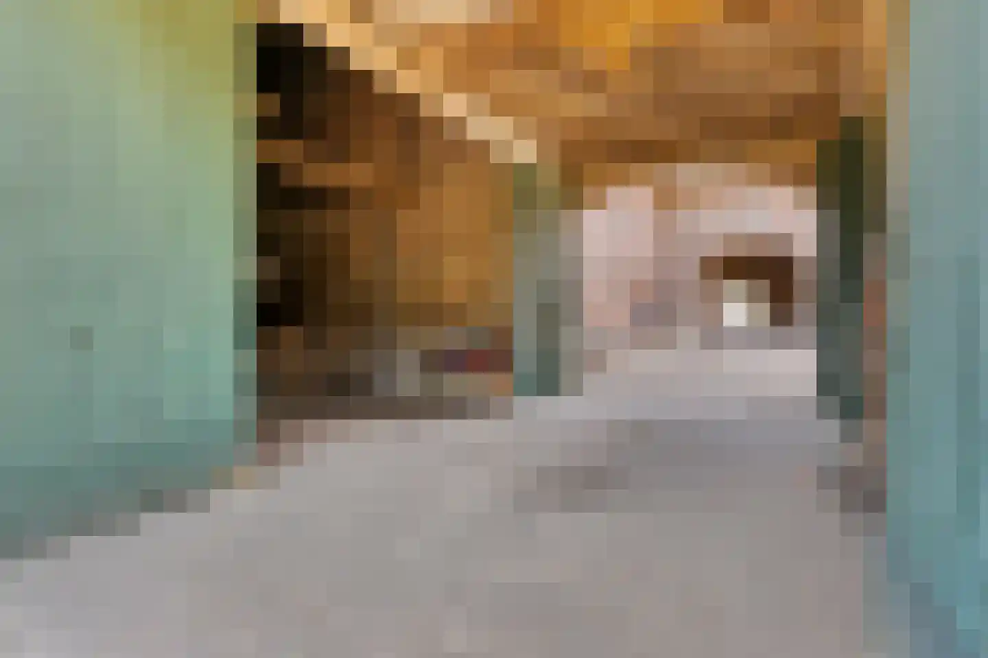 Laar 15 Wijnandsrade thumbnail 48