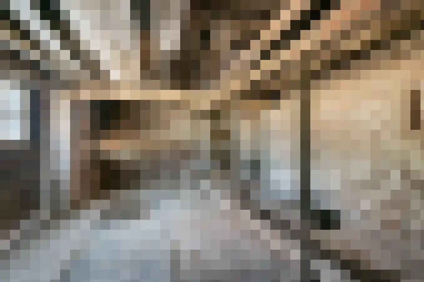 Laar 15 Wijnandsrade thumbnail 53