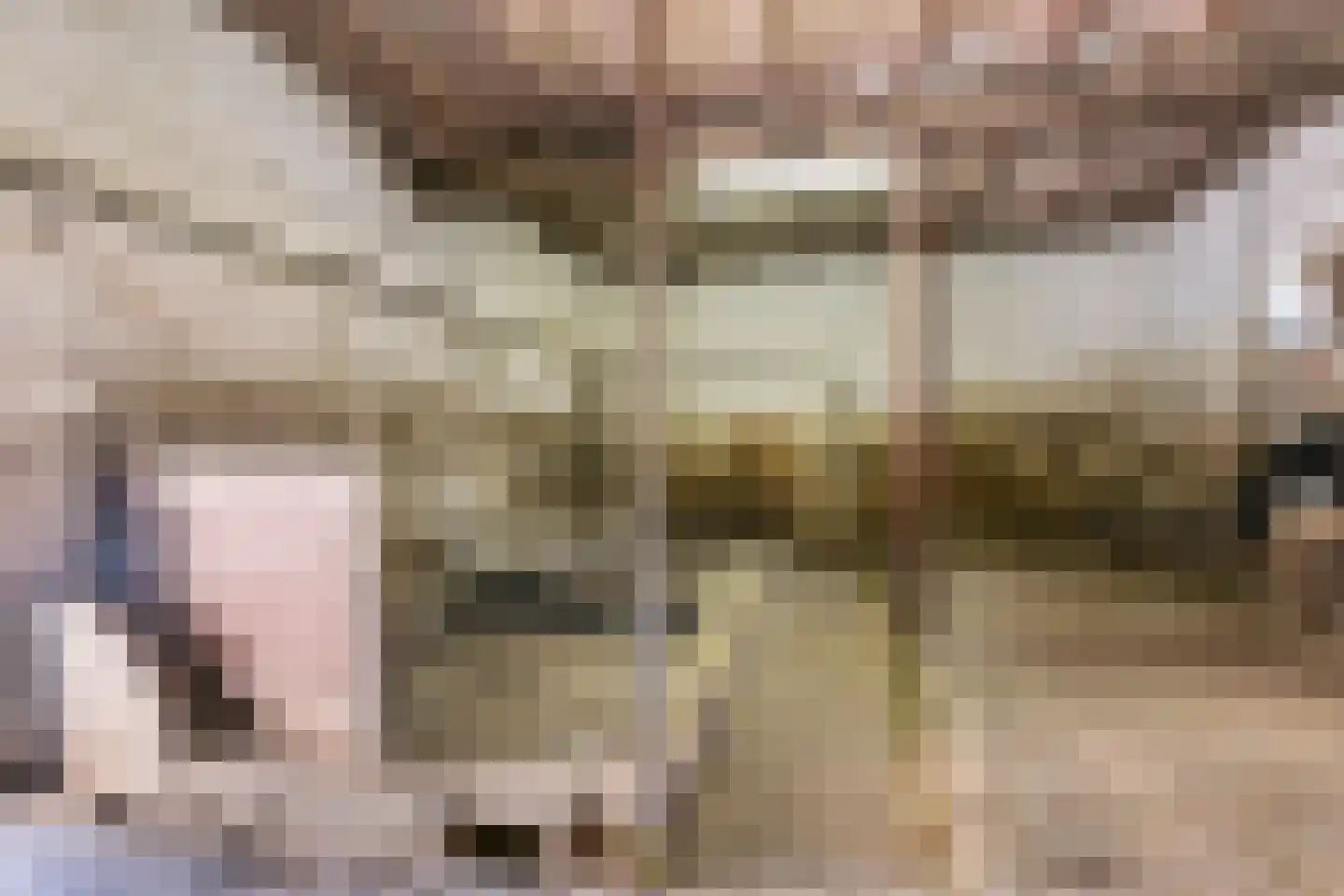 Laar 15 Wijnandsrade thumbnail 54
