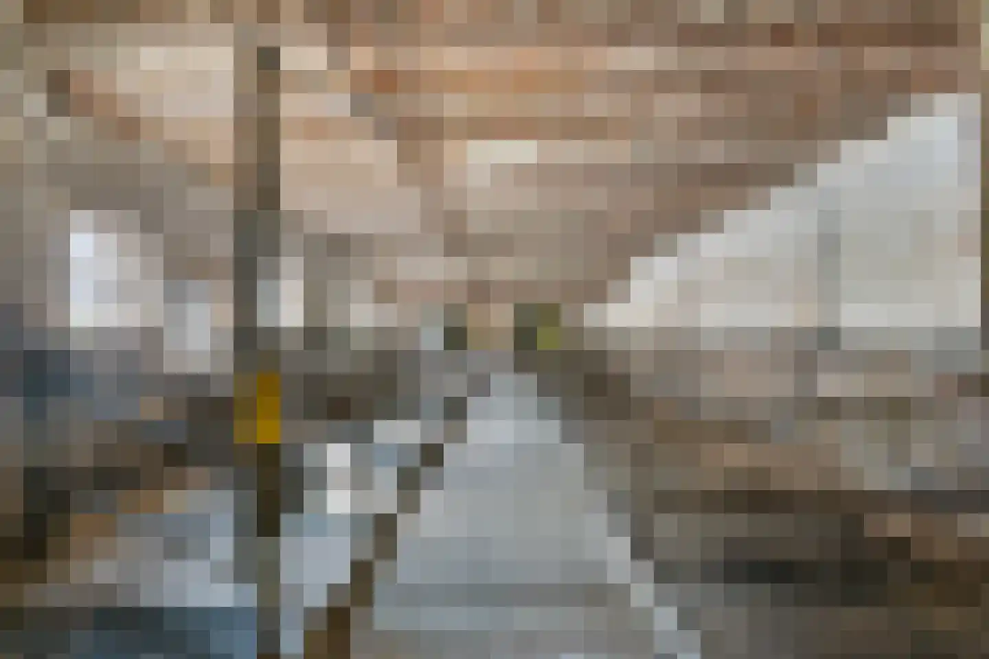 Laar 15 Wijnandsrade thumbnail 56
