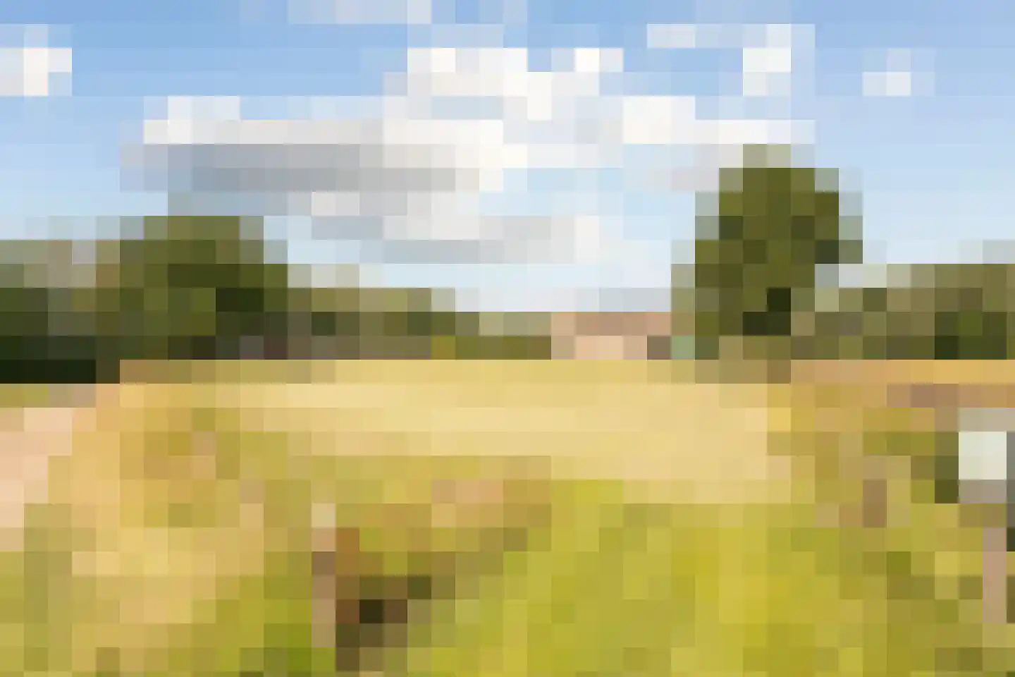 Laar 15 Wijnandsrade thumbnail 61