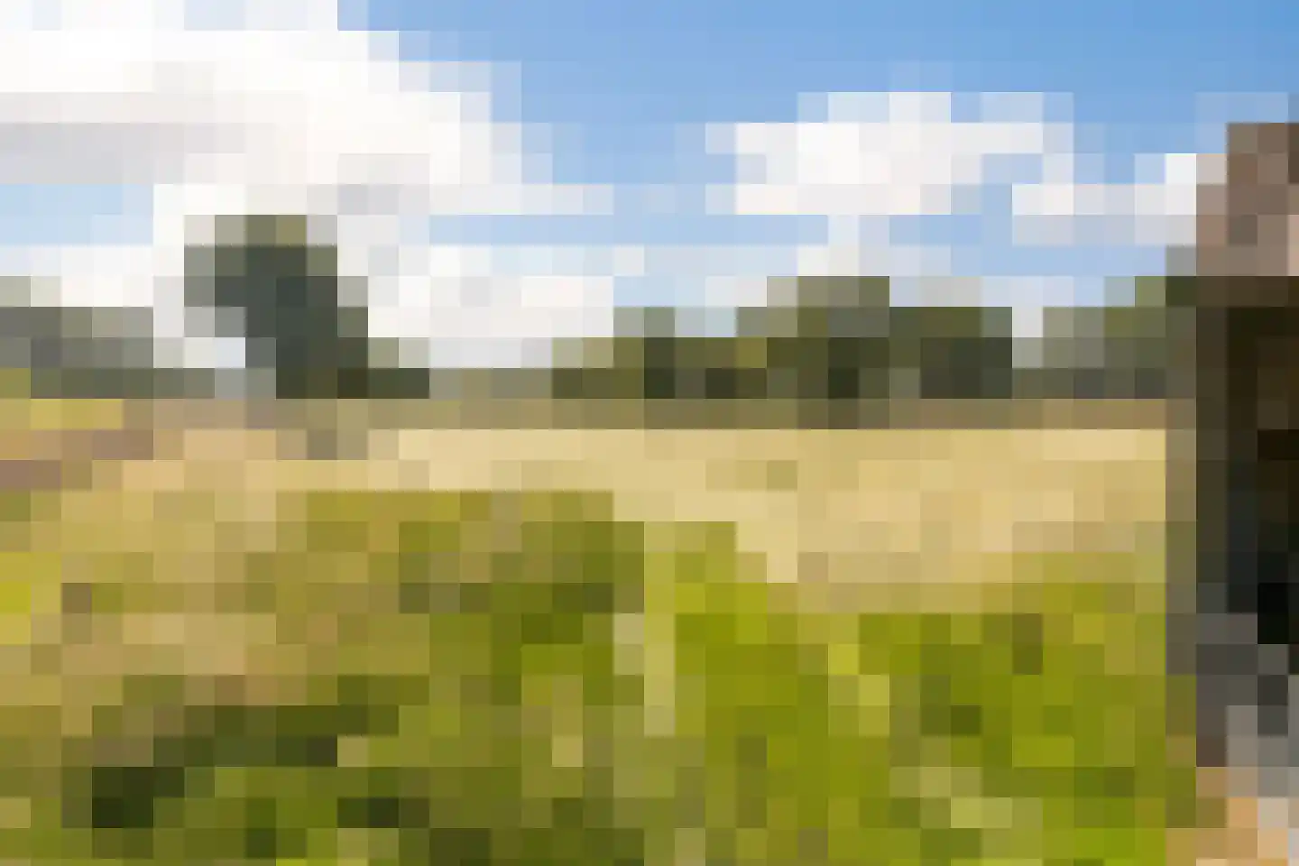Laar 15 Wijnandsrade thumbnail 62