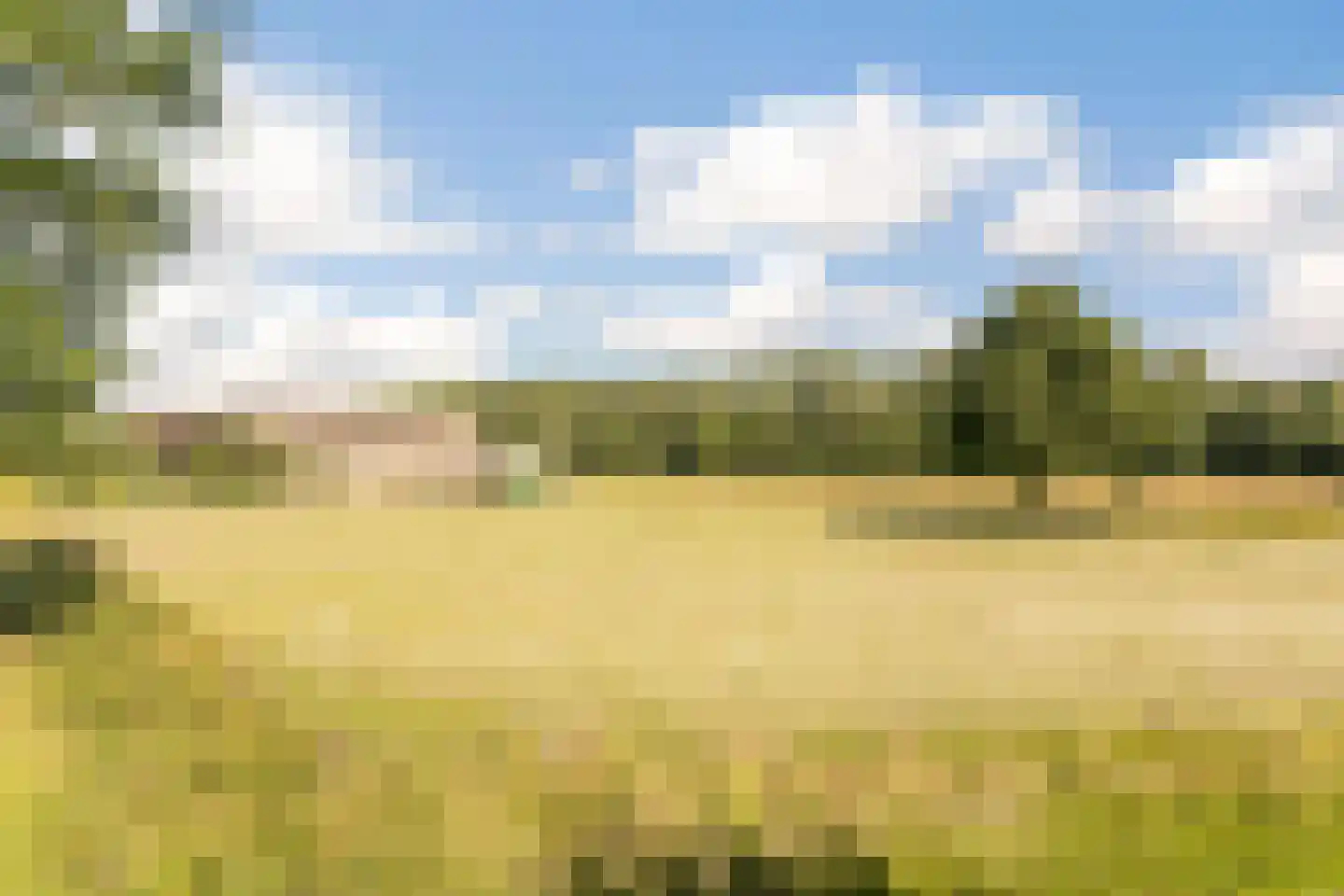 Laar 15 Wijnandsrade thumbnail 63