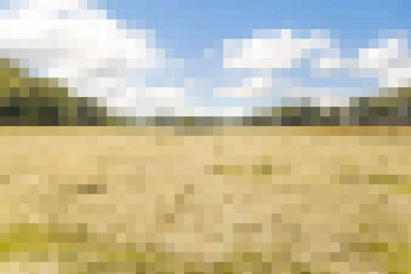 Laar 15 Wijnandsrade thumbnail 64