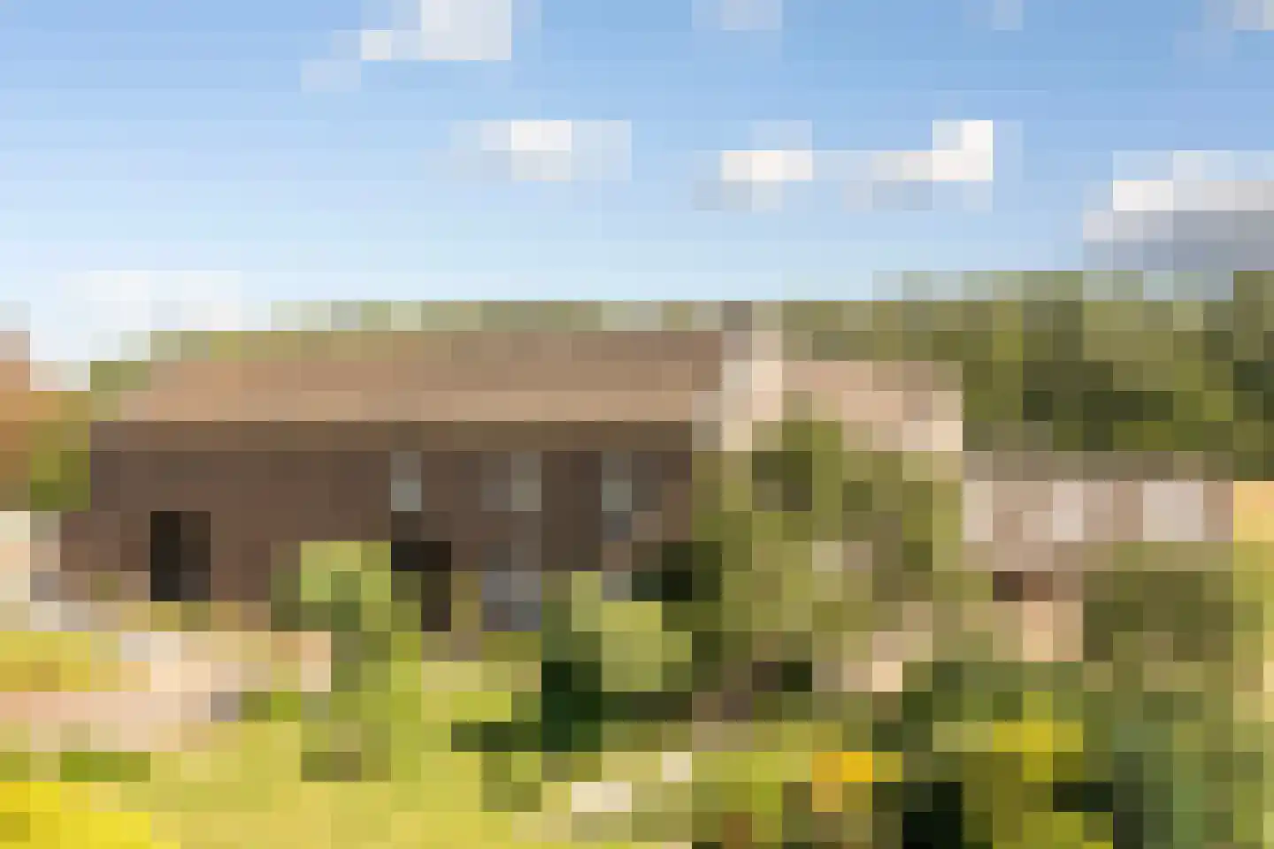 Laar 15 Wijnandsrade thumbnail 7