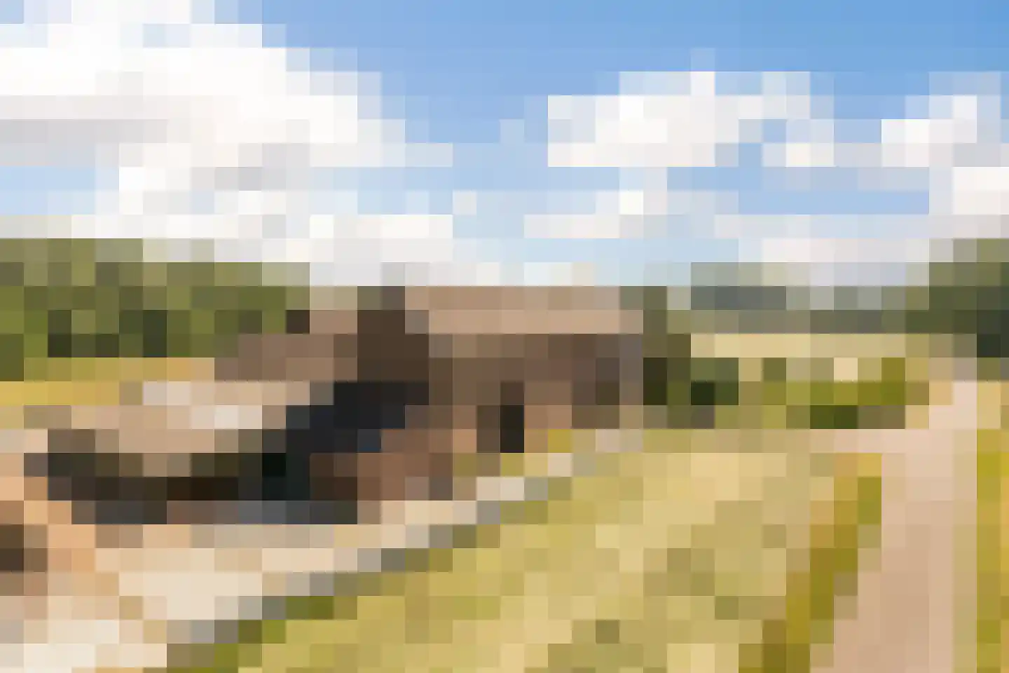 Laar 15 Wijnandsrade thumbnail 9