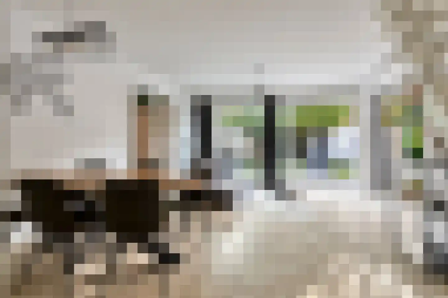 Laar 18 Eindhoven thumbnail 16