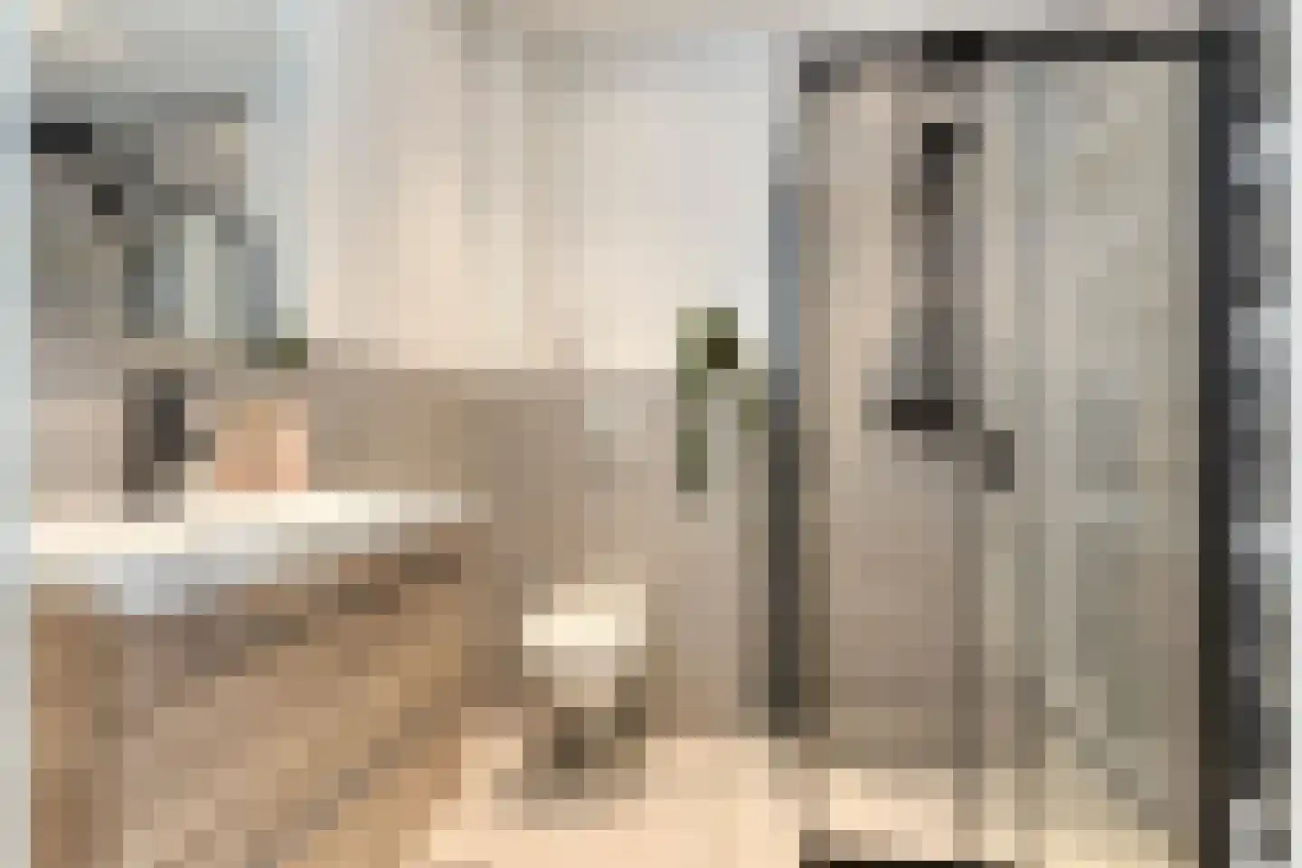 Laar 18 Eindhoven thumbnail 25