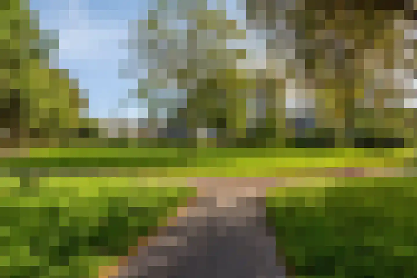 Laar 18 Eindhoven thumbnail 40