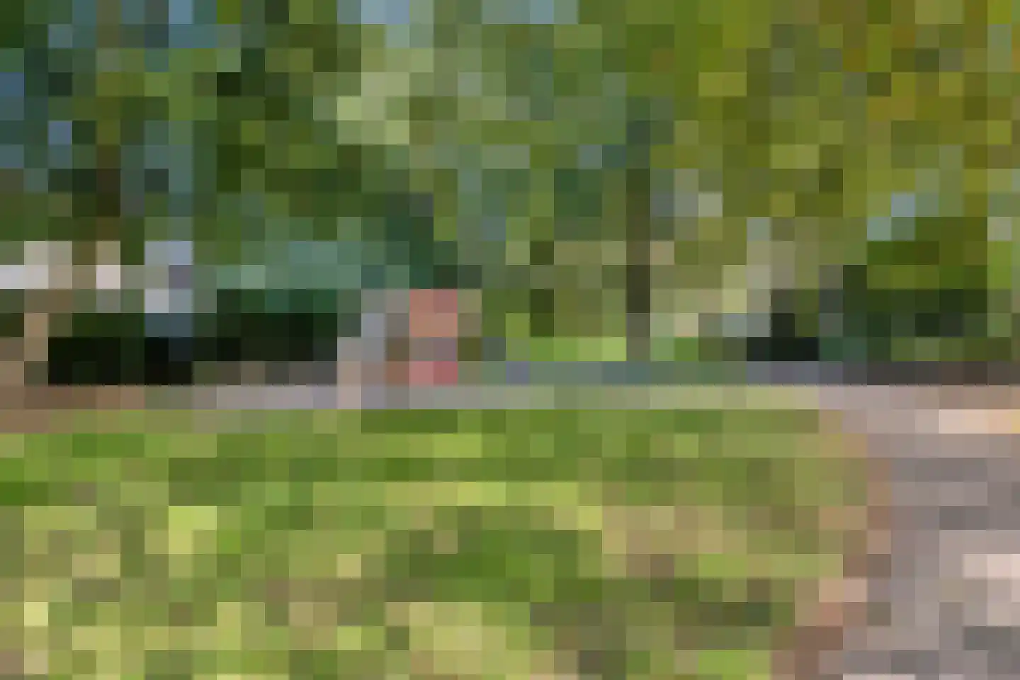 Laar 18 Eindhoven thumbnail 41