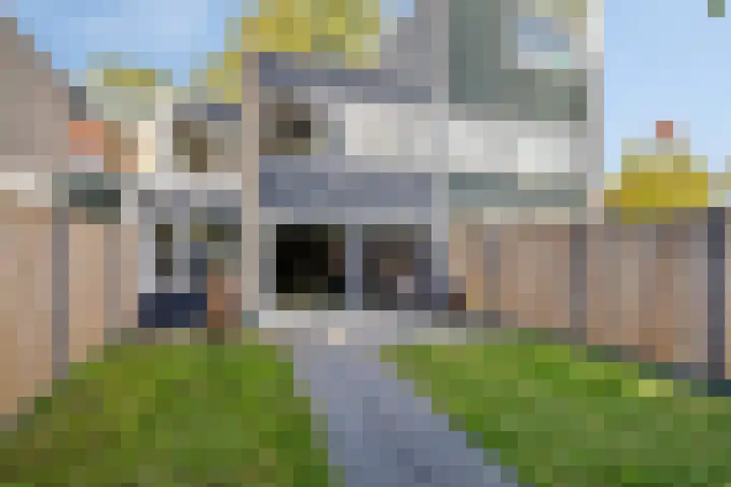 Laar 18 Eindhoven thumbnail 8