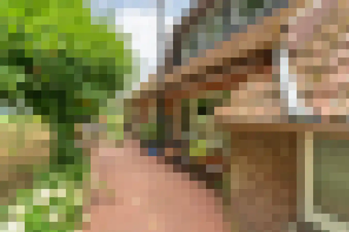 Laar 2 Nistelrode thumbnail 12