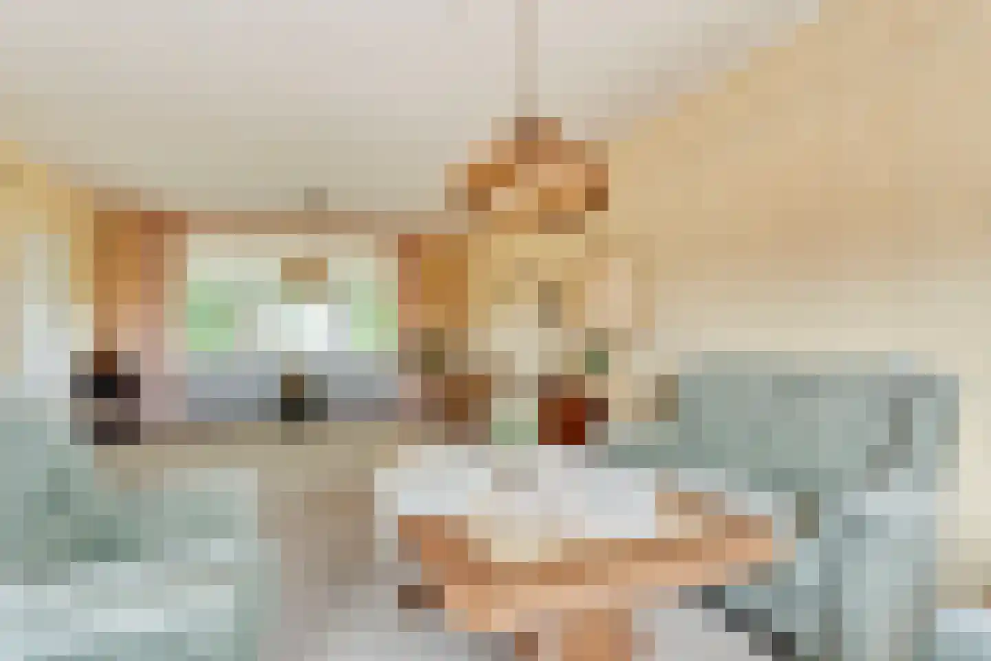 Laar 2 Nistelrode thumbnail 16