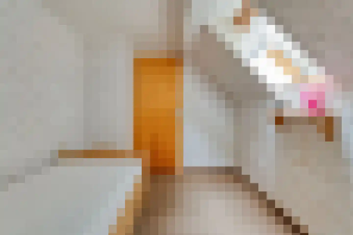 Laar 2 Nistelrode thumbnail 40