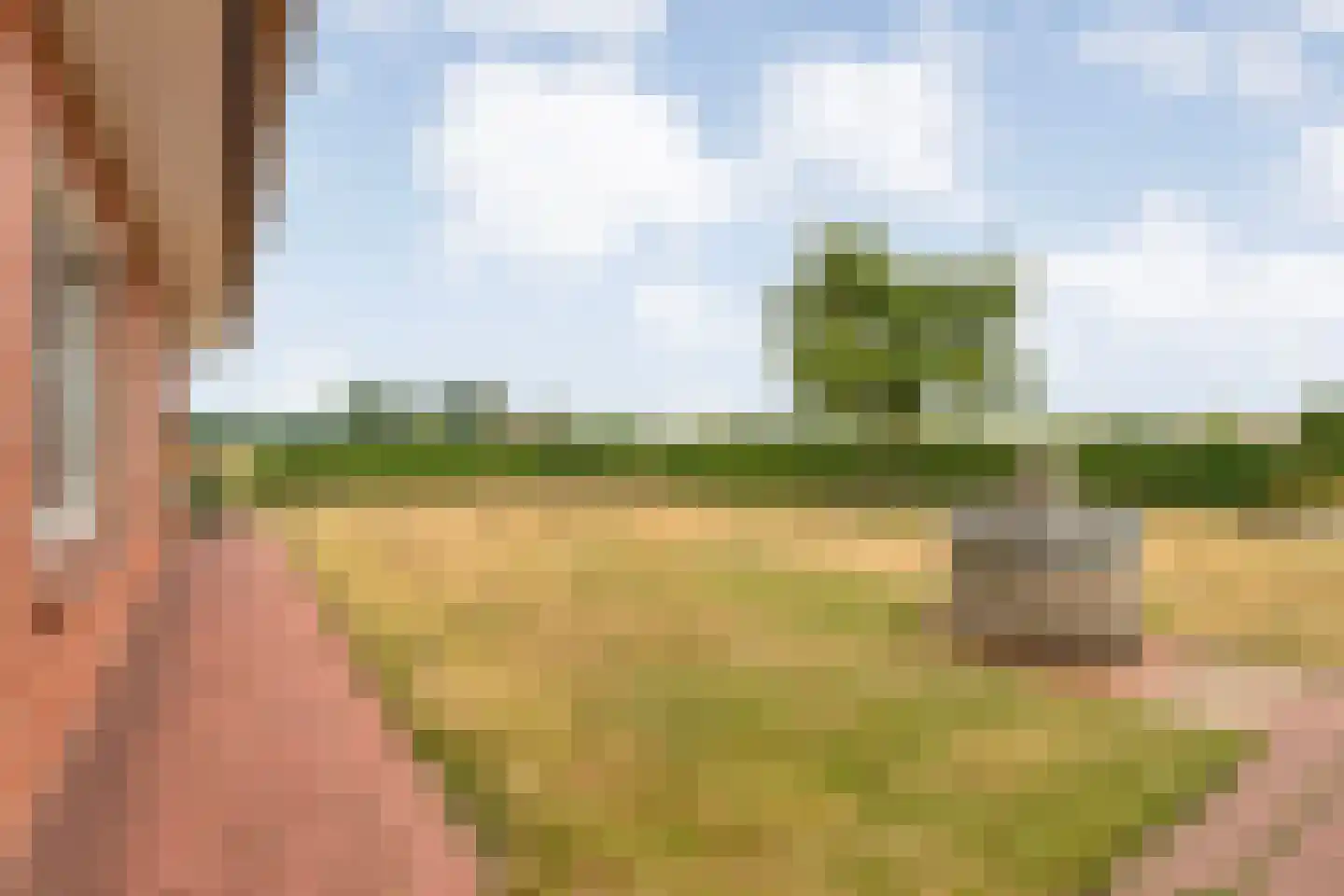 Laar 2 Nistelrode thumbnail 54