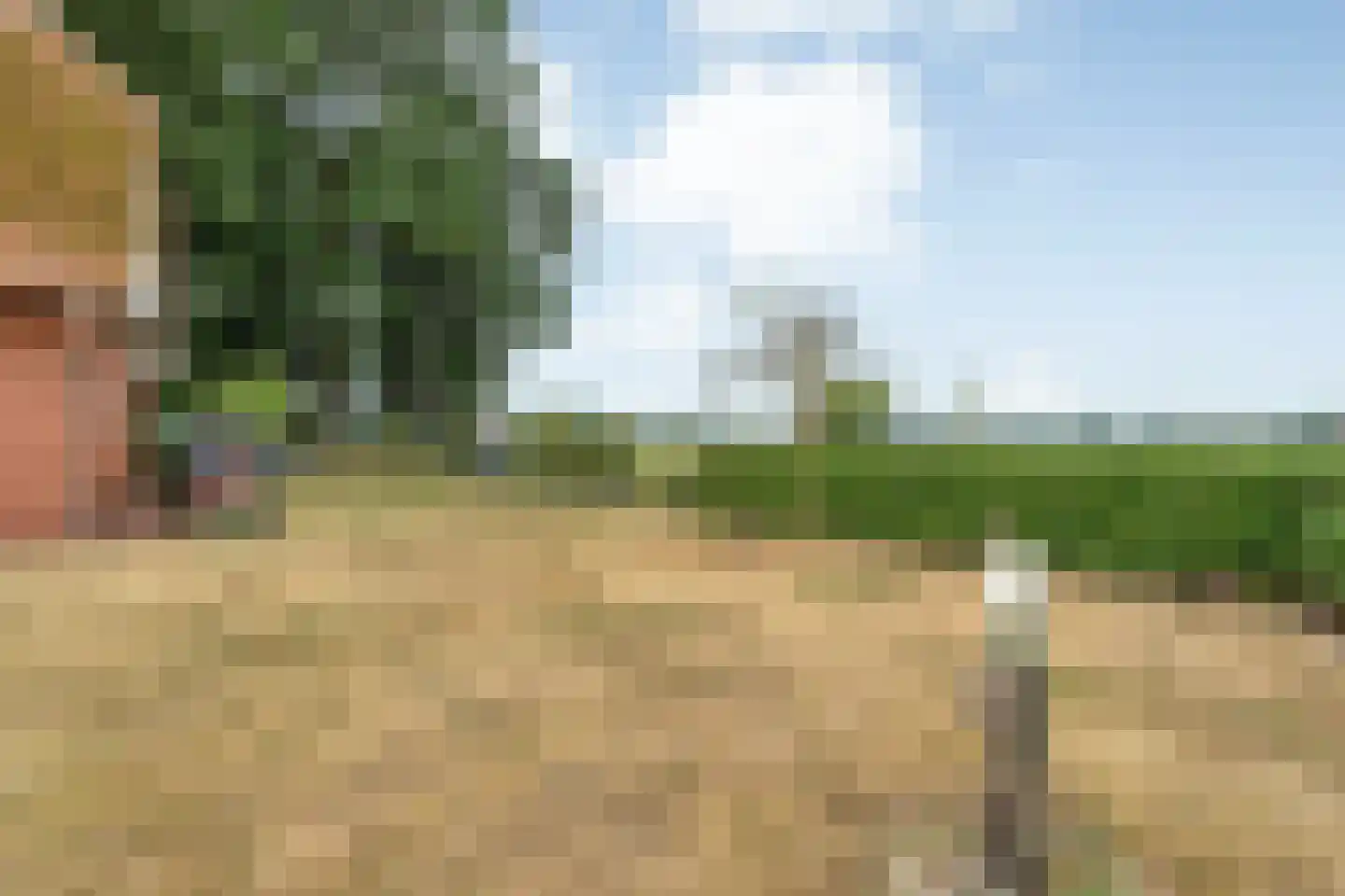 Laar 2 Nistelrode thumbnail 58
