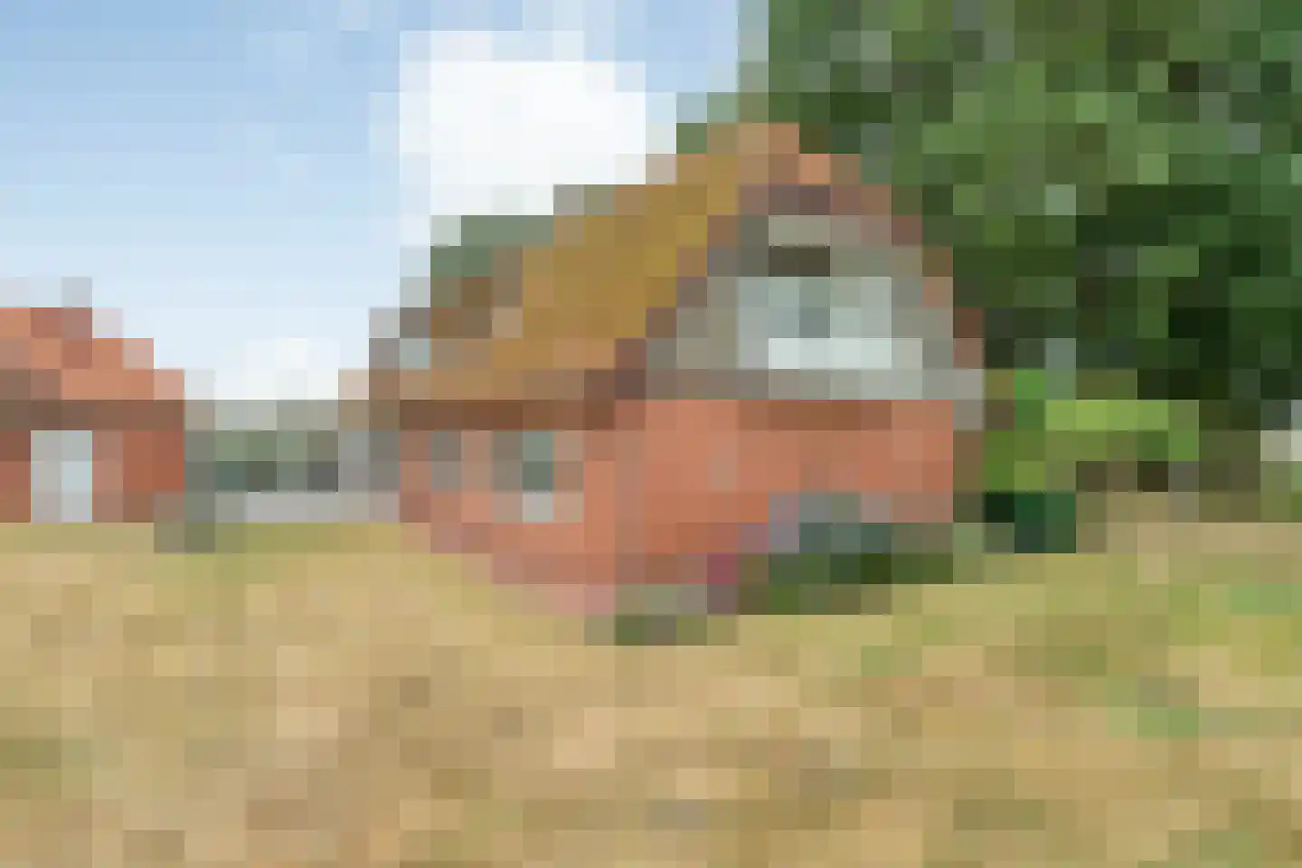 Laar 2 Nistelrode thumbnail 59