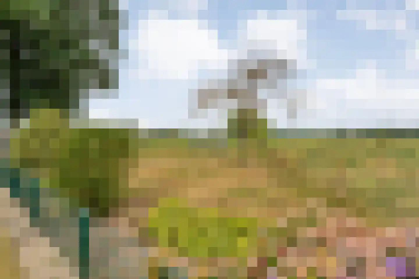 Laar 2 Nistelrode thumbnail 61