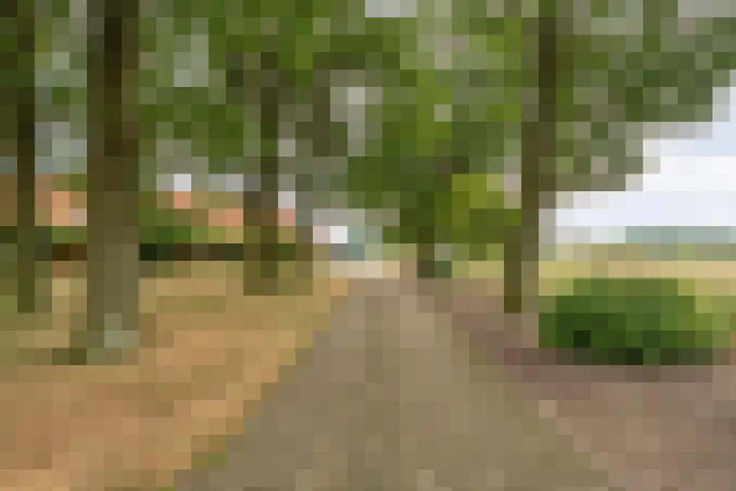 Laar 2 Nistelrode thumbnail 7