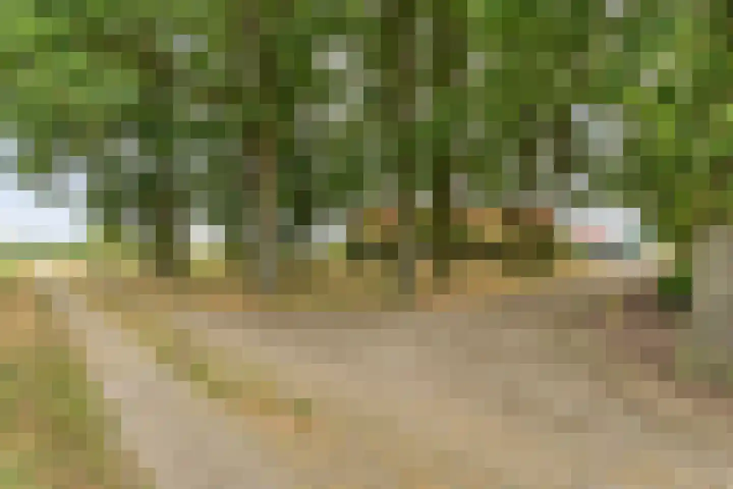 Laar 2 Nistelrode thumbnail 9