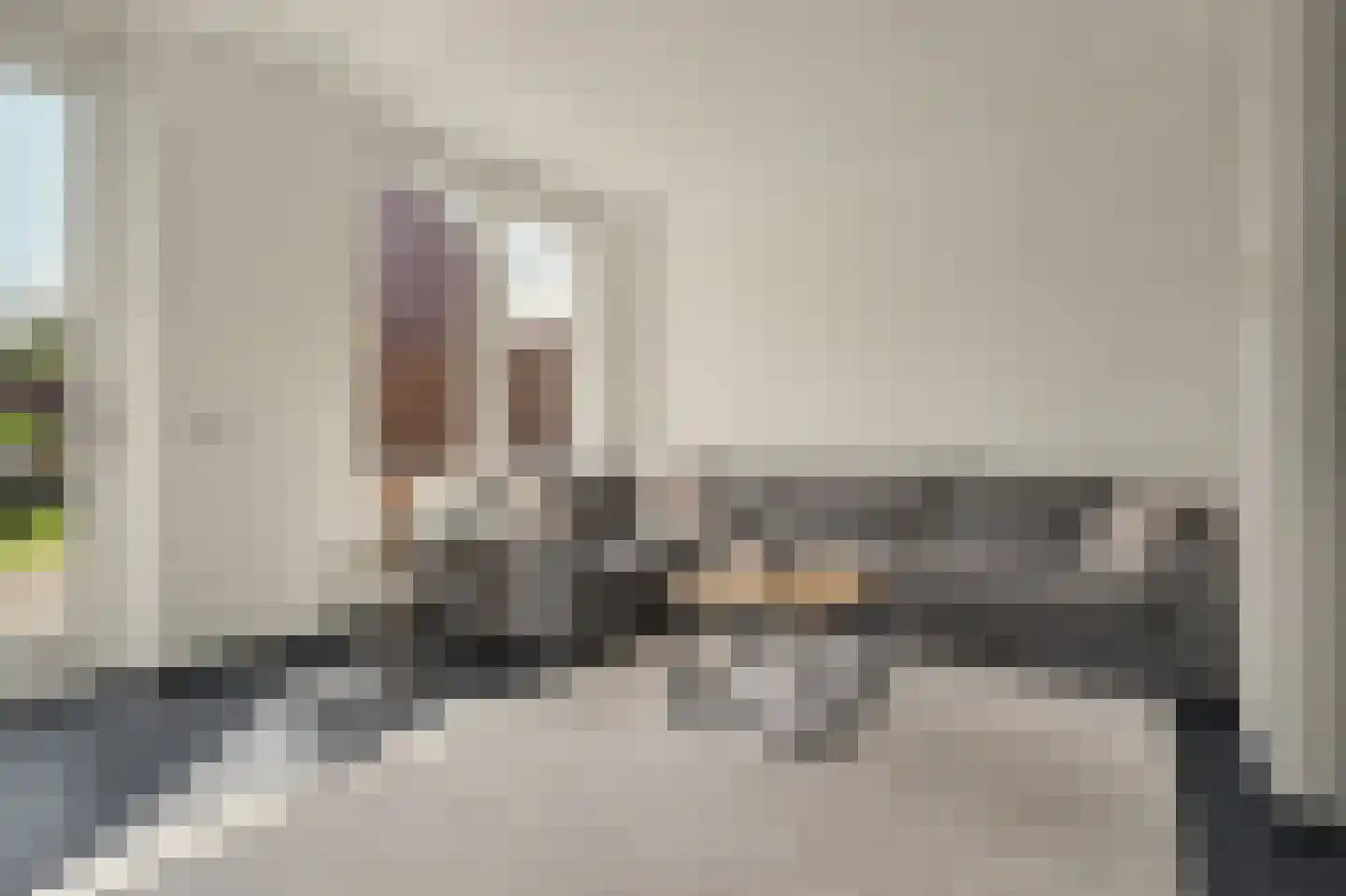 Laar 25 Bladel thumbnail 11