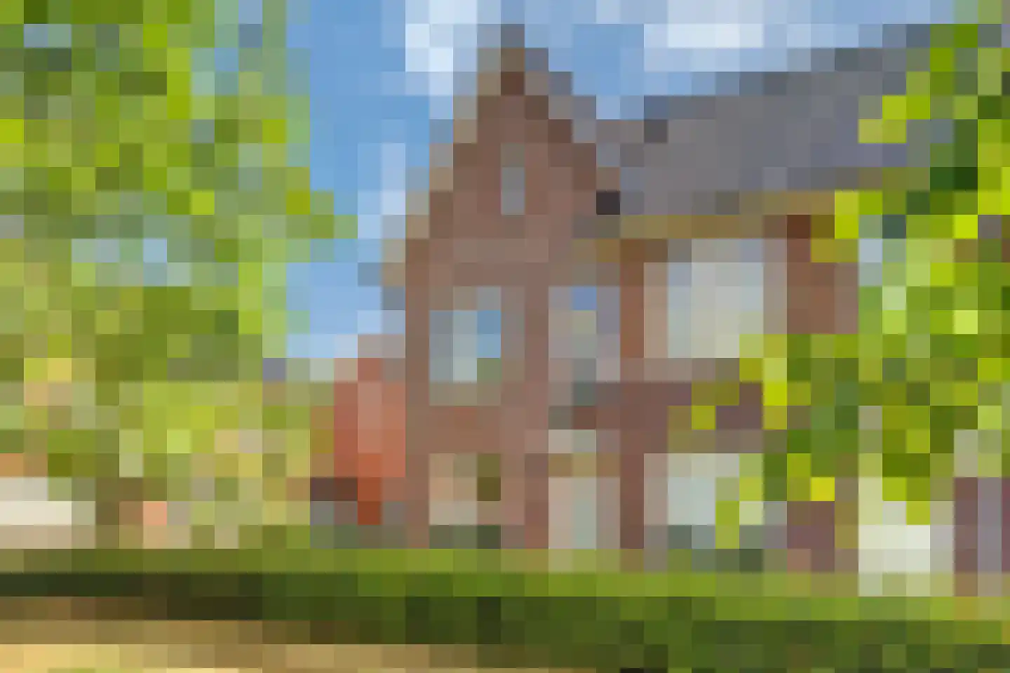 Laar 25 Bladel foto 3
