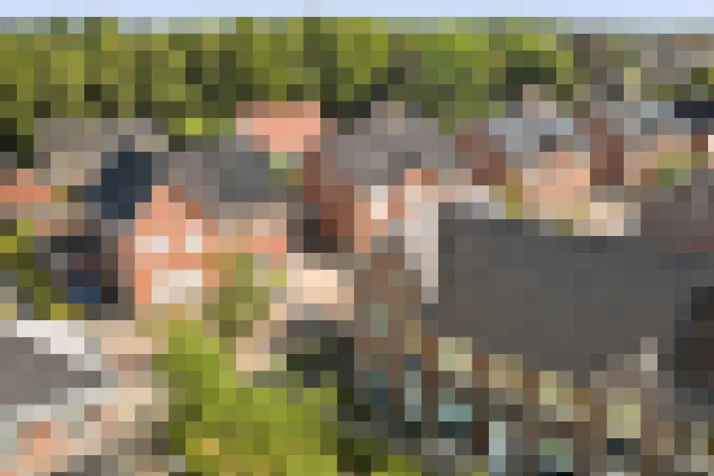 Laar 25 Bladel thumbnail 35
