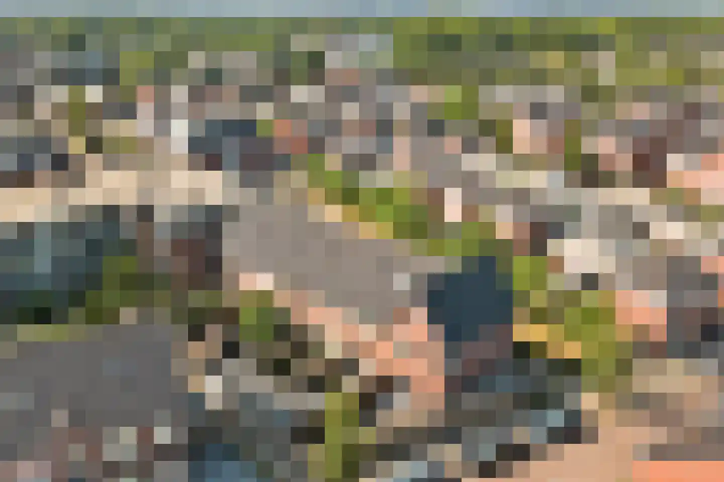 Laar 25 Bladel thumbnail 36