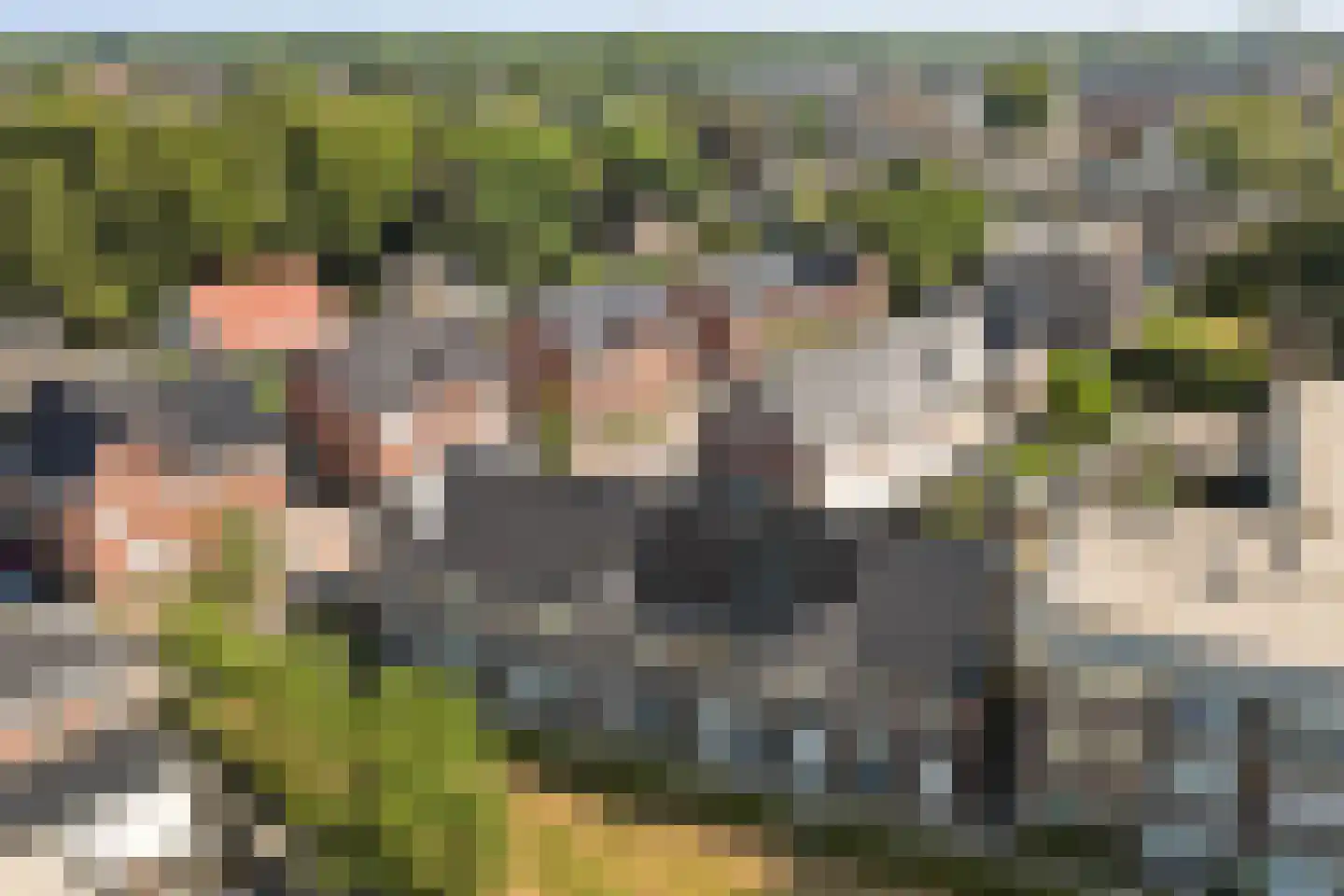 Laar 25 Bladel thumbnail 37