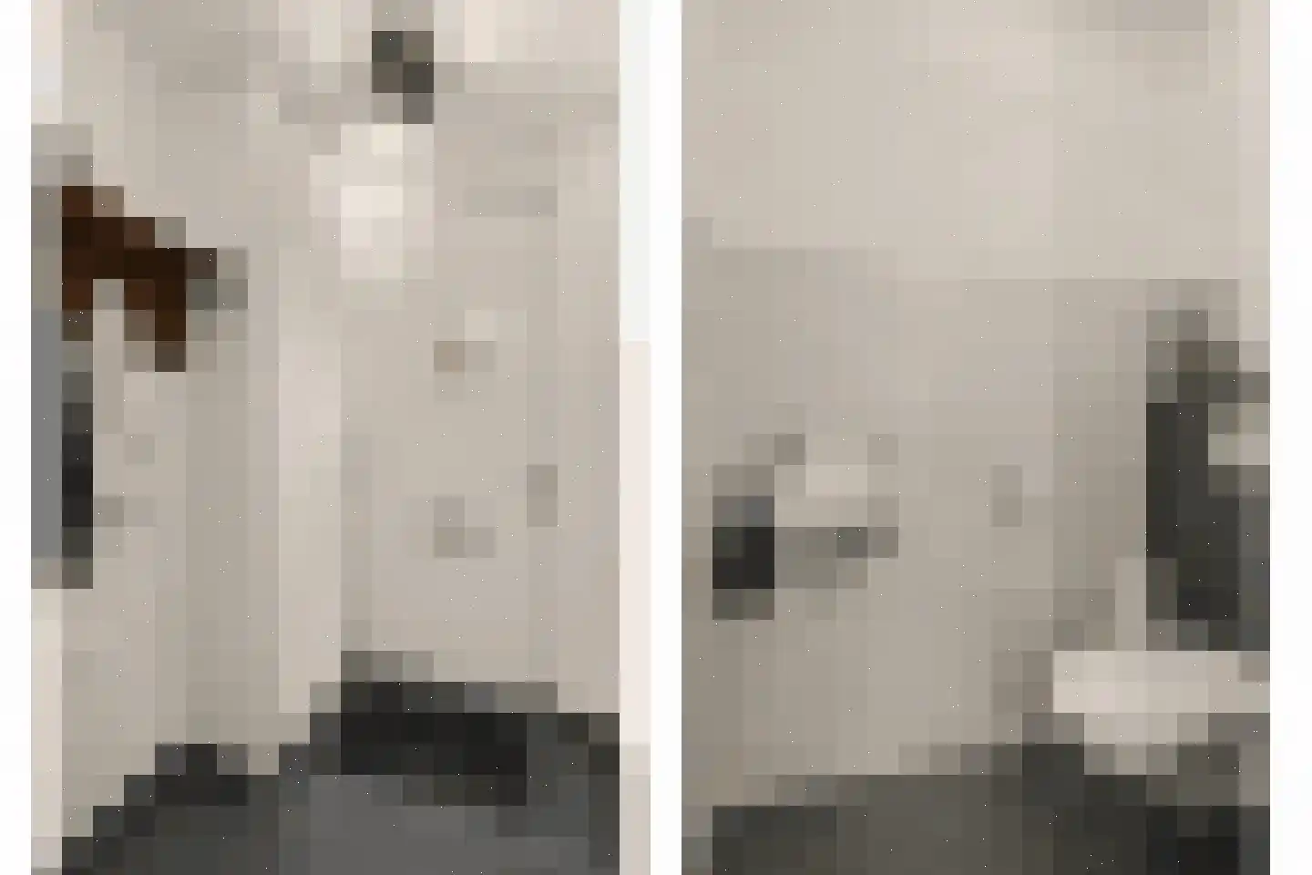 Laar 25 Bladel thumbnail 4