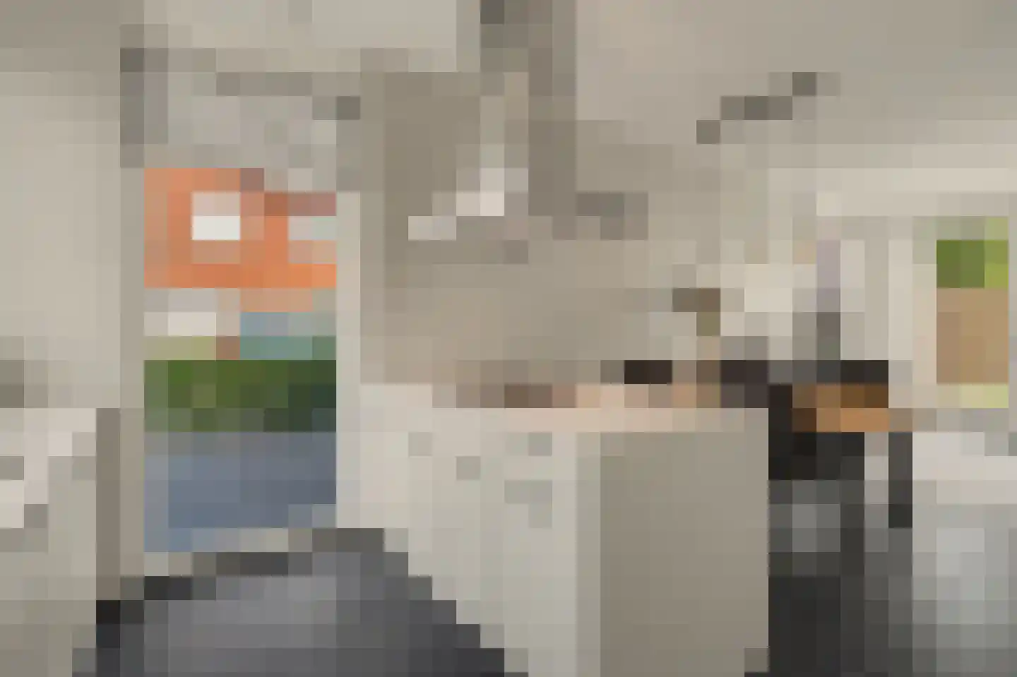 Laar 25 Bladel thumbnail 5