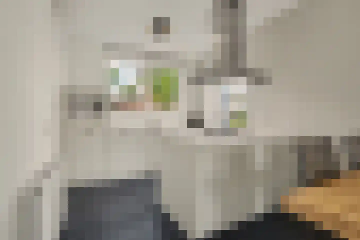 Laar 25 Bladel thumbnail 6