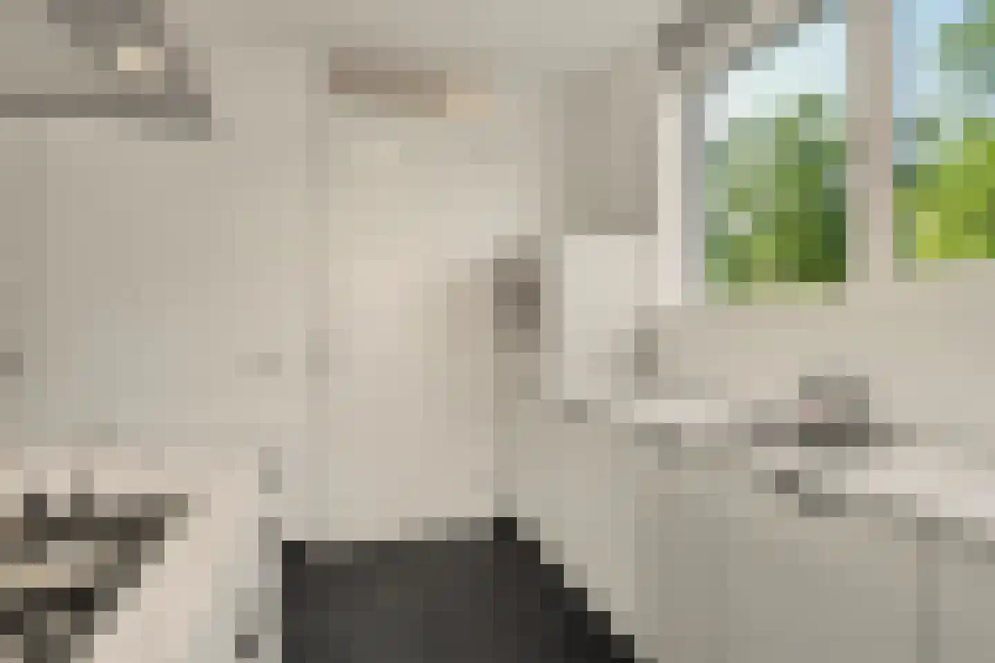 Laar 25 Bladel thumbnail 7