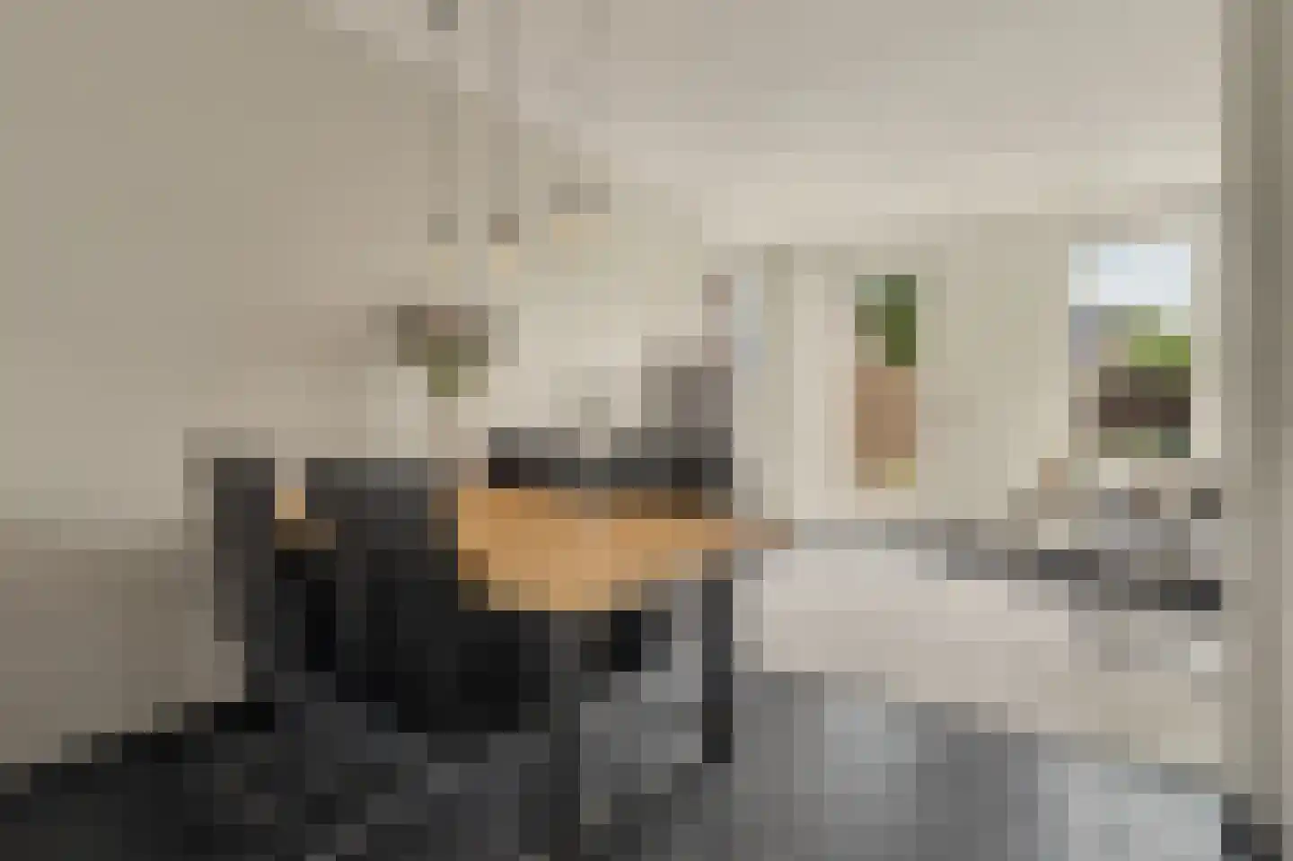 Laar 25 Bladel thumbnail 9