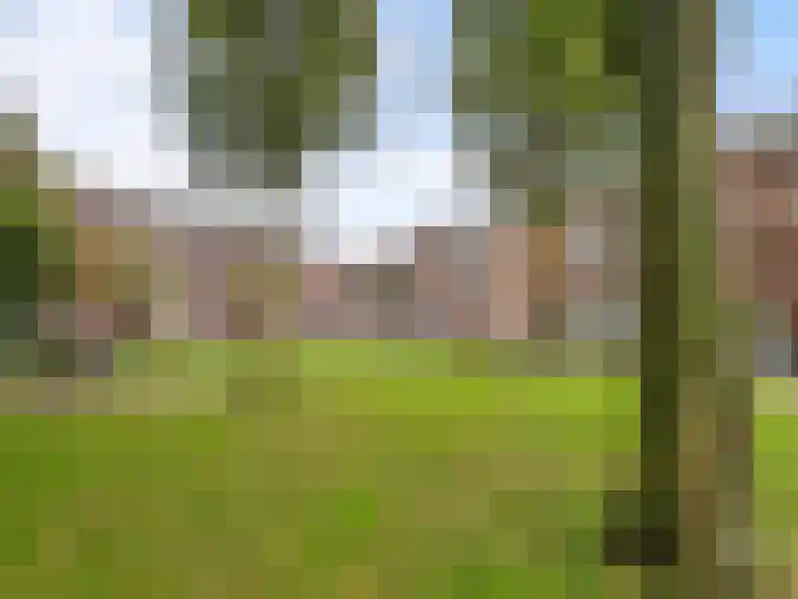 Laar 34 Nistelrode thumbnail 15