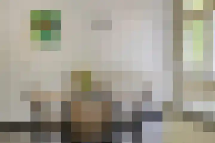 Laar 34 Nistelrode thumbnail 18