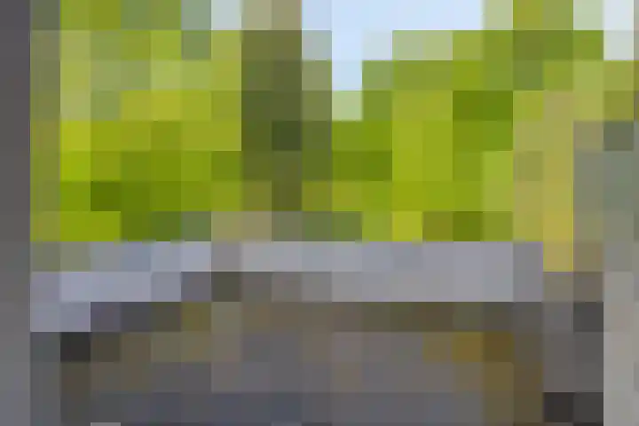 Laar 34 Nistelrode thumbnail 26