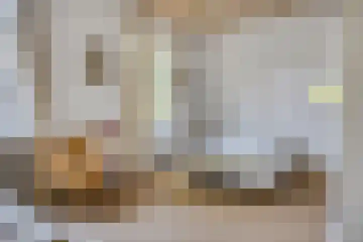 Laar 34 Nistelrode thumbnail 36