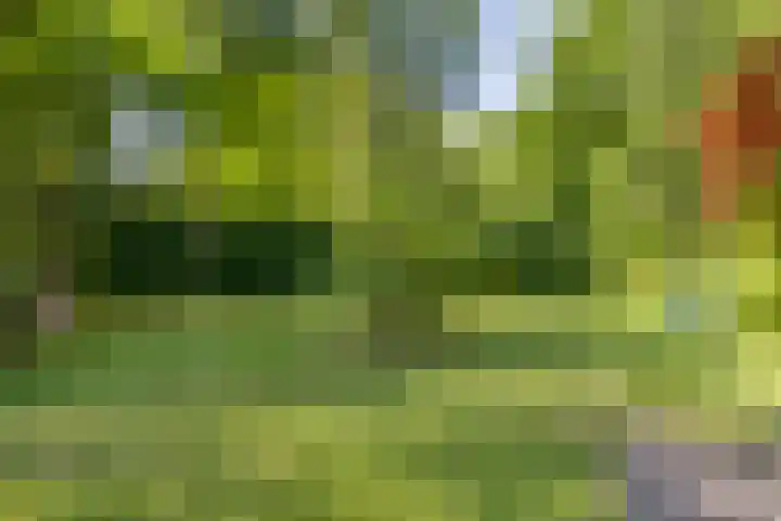 Laar 34 Nistelrode thumbnail 47