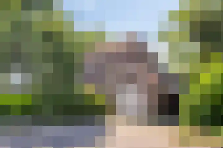 Laar 34 Nistelrode thumbnail 51