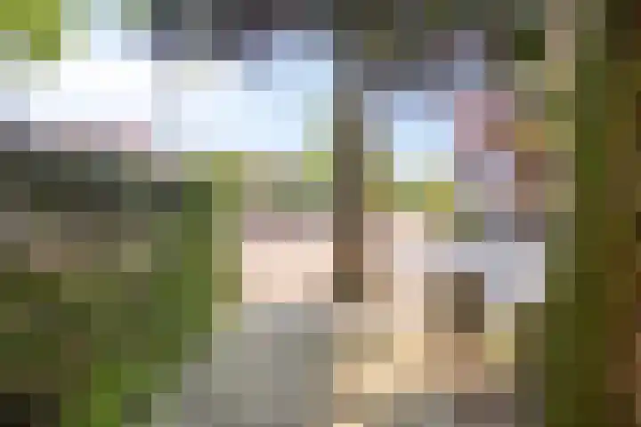 Laar 34 Nistelrode thumbnail 53