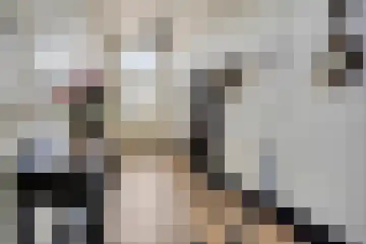 Laar 34 Nistelrode thumbnail 6