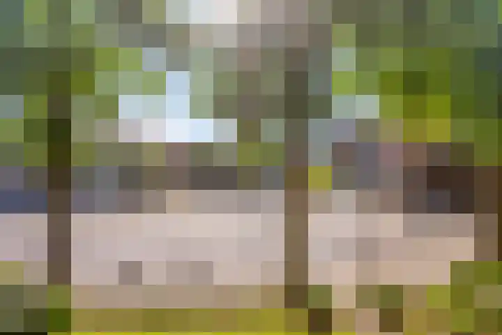 Laar 34 Nistelrode thumbnail 64
