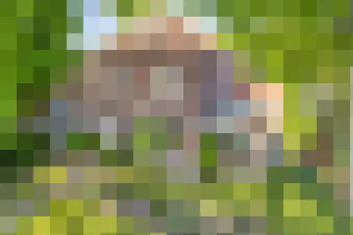 Laar 34 Nistelrode thumbnail 72