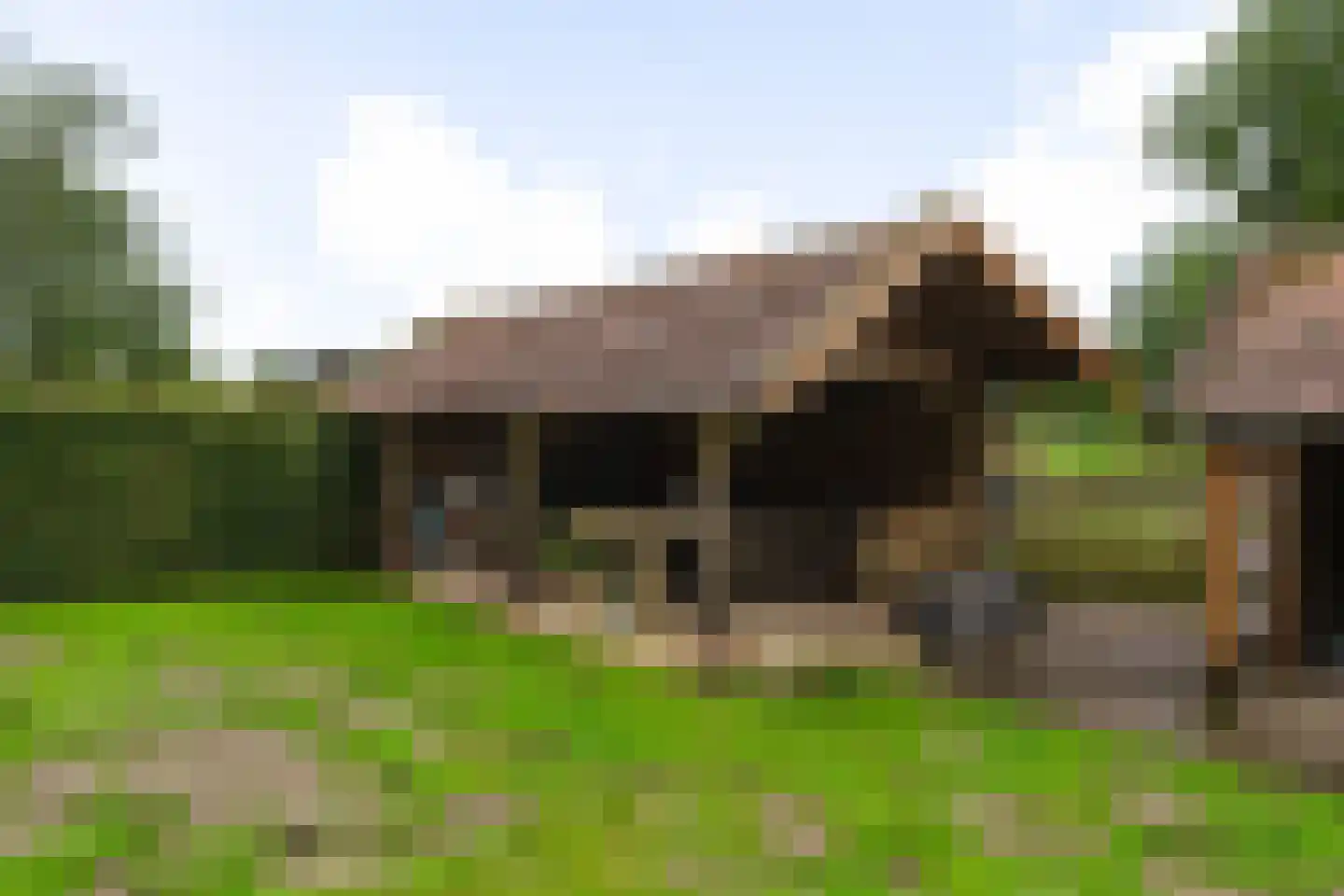 Laar 38 Berlicum thumbnail 17