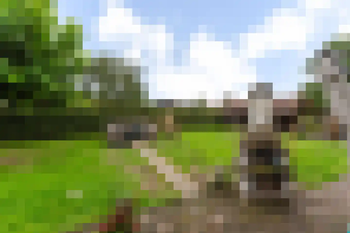 Laar 38 Berlicum thumbnail 20