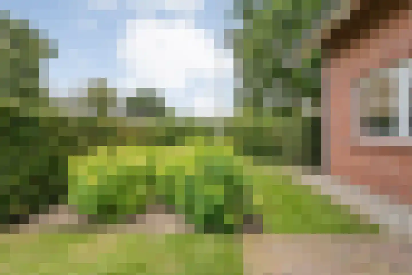 Laar 54 Nistelrode thumbnail 13